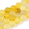 Dyed Natural Agate Beads Strands G-T144-27A-4
