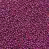 TOHO Round Seed Beads X-SEED-TR11-0563-2