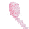4 Yards Organza Flower Lace Trim OCOR-WH0070-165B-1