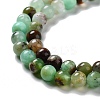 Natural Chrysoprase Beads Strands G-G057-A01-02-4