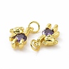 Brass Micro Pave Clear Cubic Zirconia Charms ZIRC-F135-25G-01-3
