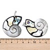 Natural Paua Shell & Black Lip Shell & Yellow Shell Pendants KK-C135-08B-3
