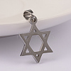 Tarnish Resistant 304 Stainless Steel Pendants LS-STAS-M245-24P-2