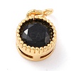 Real 18K Gold Plated Brass Inlaid Cubic Zirconia Charms ZIRC-L100-081G-04-2