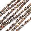 Natural Silver Crazy Lace Agate Round Beads Strands X-G-N0166-34-4mm-1