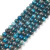 Natural Apatite Beads X-G-E481-05-8mm-01-1