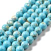Synthetic Turquoise and Sea Shell Assembled Beads Strands G-D482-01C-07-2