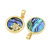 Natural Paua Shell Pendants KK-D005-05G-2