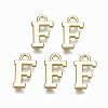Alloy Charms PALLOY-Q441-025F-NR-1