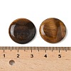 Natural Tiger Eye Cabochons G-C189-05C-3