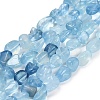 Natural Aquamarine Beads Strands X-G-P568-C13-01-2