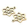 Ion Plating(IP) 316L Surgical Stainless Steel Pendants STAS-D046-08G-2