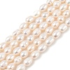 Natural Cultured Freshwater Pearl Beads Strands PEAR-I007-01B-05B-2