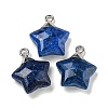 Natural Sesame Jasper Imitation Lapis Lazuli Pendants G-P540-01P-04-1-1