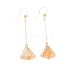 Electroplated 304 Stainless Steel Resin Fan Dangle Earrings EJEW-Z129-11G-01-4