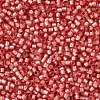 TOHO Round Seed Beads X-SEED-TR11-2201-2