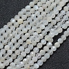 Natural White Moonstone Beads Strands G-E411-07-4mm-1