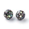 Natural Paua Shell Beads SSHEL-Q298-16mm-09-2
