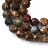 Natural Pietersite Beads Strands G-G792-37C-4