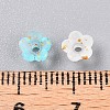 Frosted Transparent Acrylic Beads X-OACR-N137-72I-4