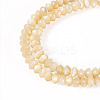 1 Strand Natural Trochus Shell Rondelle Beads Strands SSHEL-TA0001-16B-2