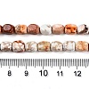 Natural Imperial Jasper Beads Strands G-N342-62K-5