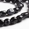 Natural Snowflake Obsidian Beads Strands G-D0002-B19-3