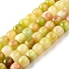 Natural Dyed White Jade Beads Strands G-U023-B03-03-2