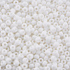6/0 Glass Seed Beads SEED-T005-14-B16-4