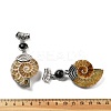 Natural Black Agate Fossil Snail Pendants G-F062-08-2