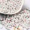Two Tone Baking Paint Glass Seed Beads SEED-F005-01A-08-1