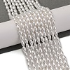 Baking Paint Pearlized Glass Pearl Bead Strands PEAR-H019-01C-02-2