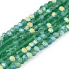 Transparent Glass Beads Strands EGLA-A044-T2mm-MB18-1
