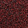 MIYUKI Round Rocailles Beads X-SEED-G008-RR4521-2