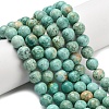 Natural Peruvian Turquoise(Jasper) Beads Strands G-L642-B08-10mm-1