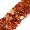Natural Carnelian Beads Strands G-L595-B01-01-2