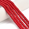Synthetic Turquoise Beads Strands G-Z110-B01-2x4mm-02-1