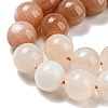 Natural Multi-Moonstone Beads Strands G-P503-10MM-04-4