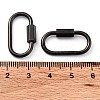 PVD Vacuum Plating 304 Stainless Steel Screw Carabiner Lock Charms STAS-H107-04C-B-4