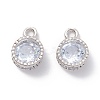 Alloy Clear Cubic Zirconia Charms LS-ZIRC-A022-04P-1