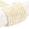 Natural Shell Beads Strands SSHEL-E571-38B-4mm-1
