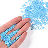 11/0 Grade A Baking Paint Glass Seed Beads X-SEED-N001-A-1019-4