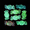 Luminous Transparent Acrylic Beads OACR-G033-06C-2