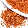 FGB 11/0 Grade A Baking Paint Glass Seed Beads SEED-S030-1028-1