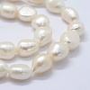 Natural Cultured Freshwater Pearl Beads Strands PEAR-K004-06A-3