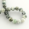 Natural Tree Agate Round Gemstone Beads Strands G-R255-8mm-4