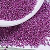 MIYUKI Delica Beads SEED-X0054-DB0425-1
