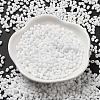 Glass Frosted Seed Beads SEED-K009-05B-01-2