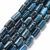 Natural Apatite Beads Strands X-G-S345-8x11-003-1