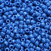 TOHO 6/0 Round Beads SEED-XTR06-0043D-4